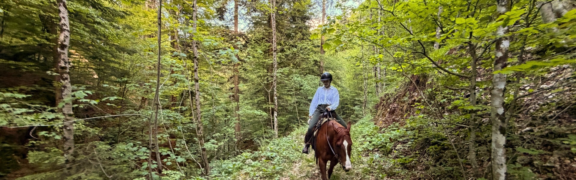Horse riding in Slovenia